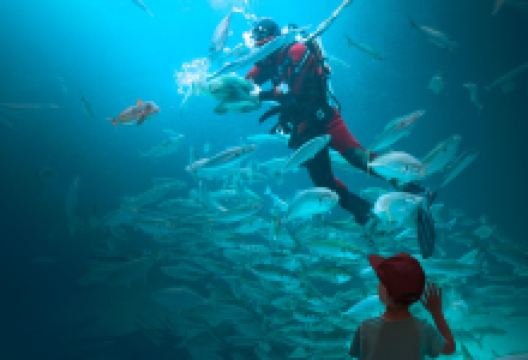 北海博物馆景点图片