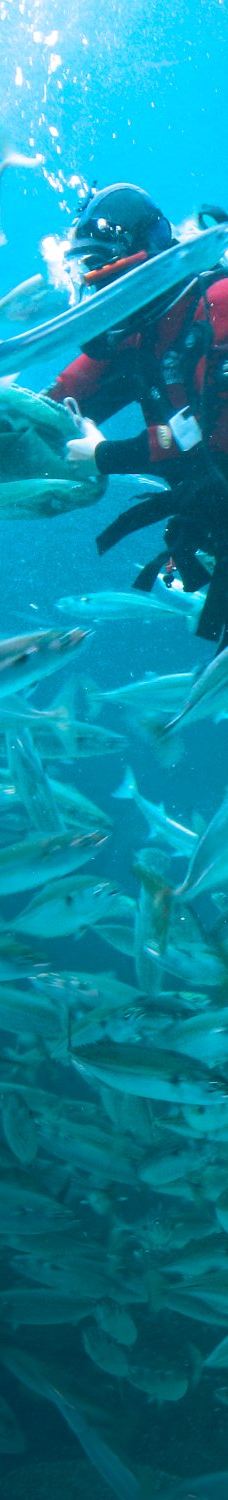 北海博物馆-希茨海尔斯