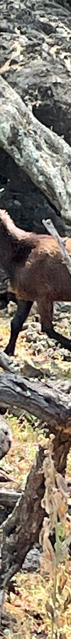 Lava Fields-茂宜县