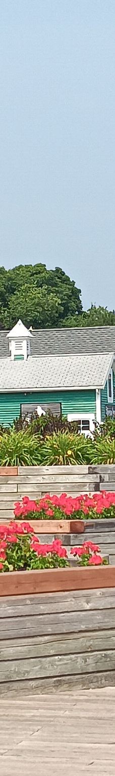 Ritchie Wharf-米罗米奇