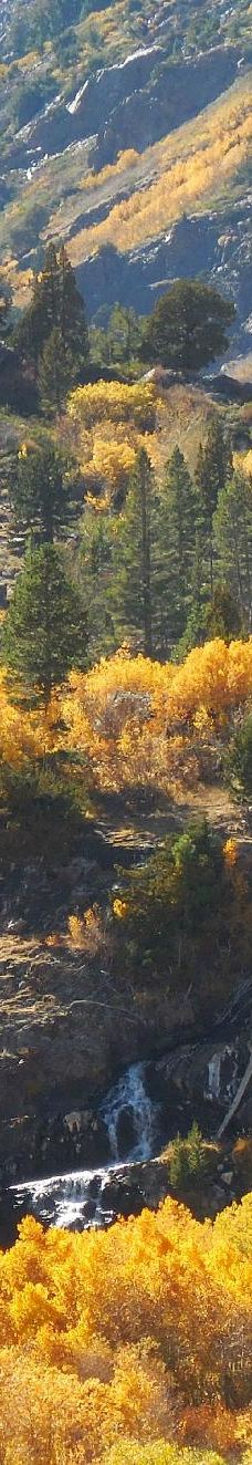 Lundy Lake-莫诺县