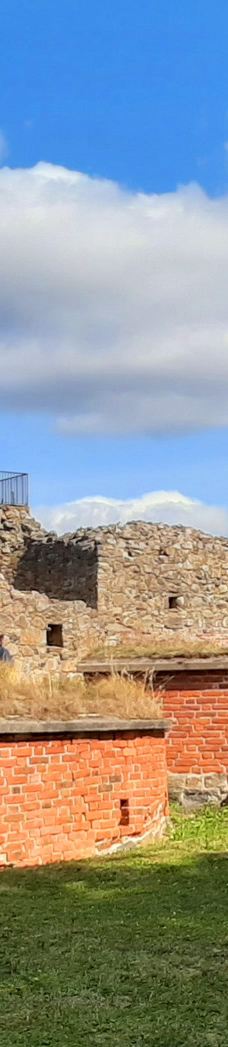 Kuusisto Bishop's Castle-卡里纳