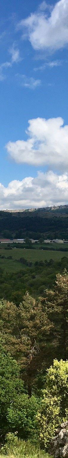 Parque Natural de Valderejo-Arabako Ibarrak