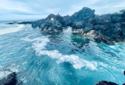 Ponta dos Biscoitos景点图片