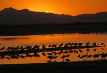 Cochise Lake景点图片