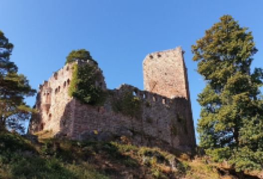 Chateau de Landsberg景点图片