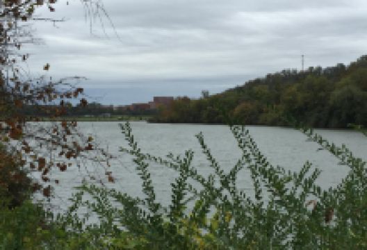 Sequoyah Park景点图片