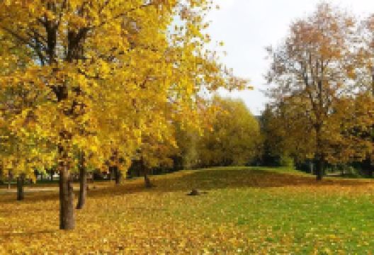 Park Orekhovaya Roshha景点图片