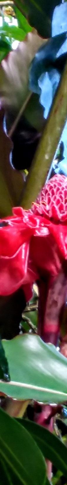 Finca Cantaros-圣维托