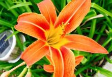 Nha lưu niem Trần Phú景点图片