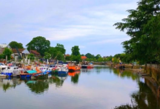 Eel Pie Island景点图片