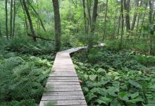 Norcross Wildlife Foundation景点图片