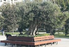 Fizuli Park景点图片