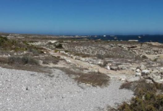 Shelley Bay Beach景点图片