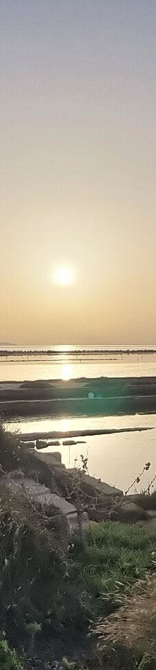 Salt Museum-特拉帕尼省