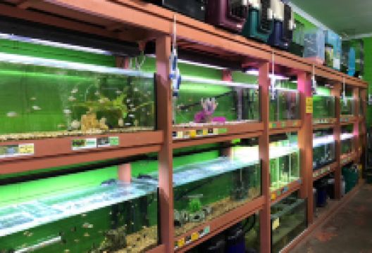 Happy Fish Aquarium购物图片