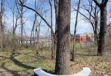 Teale Woods Preserve景点图片