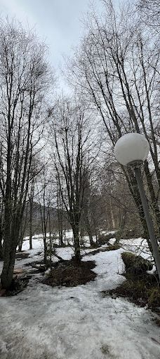 Park Austral-乌斯怀亚