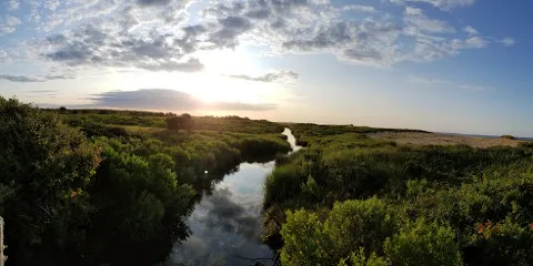 Katama Beach (South Beach)