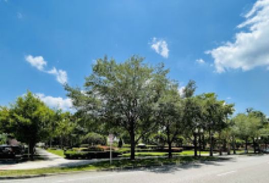 Avalon Park景点图片