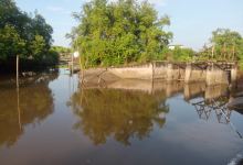 Wisata titian sungai babulu laut景点图片
