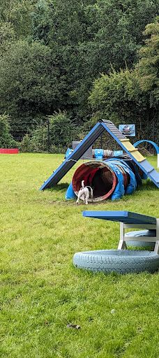 Off Lead Agility-斯特拉班