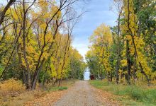 Black Tiger Bay Campground (Long-term Lot Rentals)景点图片