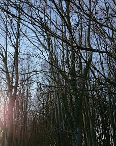 Sankt knuds Kilde-约灵