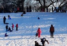Sledding Hill景点图片