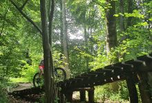 Bikepark Urdorf景点图片