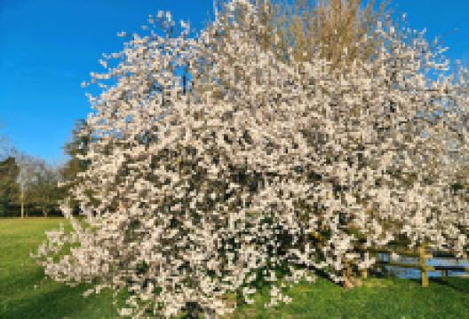 of Gorghi Park景点图片