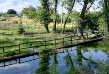 Parco Campo La Mola景点图片