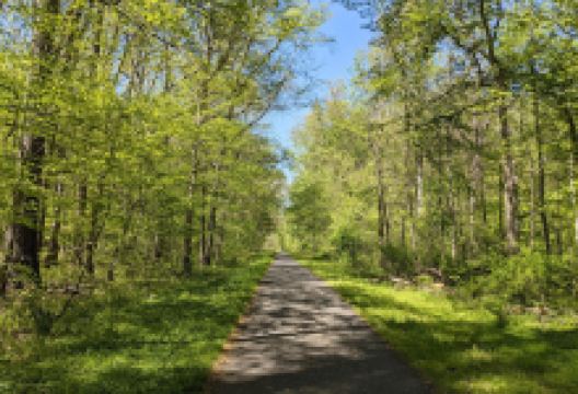 Mill Creek Park景点图片