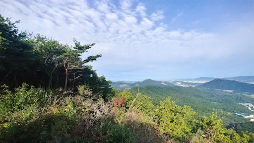 泰鶴山自然休养林