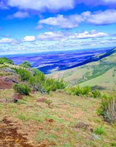 The Edge Labyrinth-阿玛索雷区自治市
