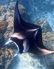 Bora Bora Lagoon Onoku Services-波拉波拉岛