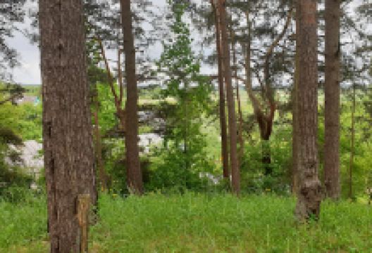 Babītes Baznīckalns景点图片