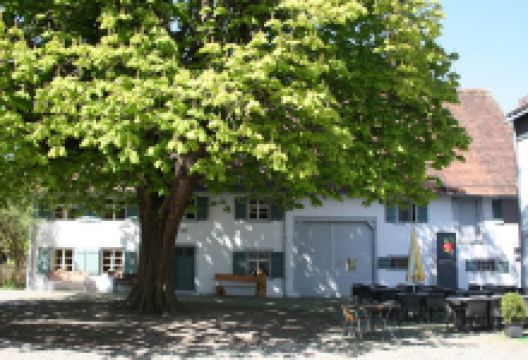 Bodensee-Obstmuseum景点图片