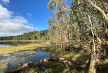 Myponga Conservation Park景点图片