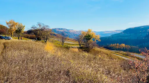 Peace River Lookout