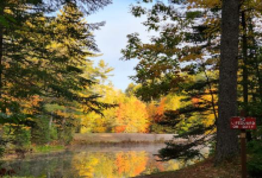 Beaver Park景点图片