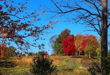 Fox Run Park景点图片