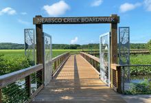 Neabsco Creek Boardwalk景点图片