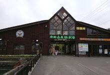 Cactus Garden, Orchid Garden景点图片