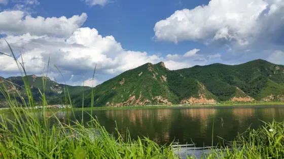 四合永濕地公園