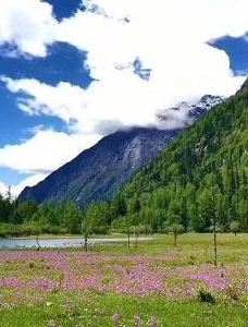 四姑娘山景区-露营地-小金