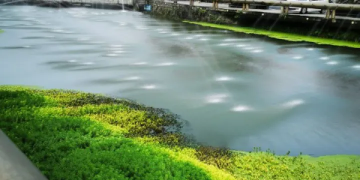 蛟龍港展示中心