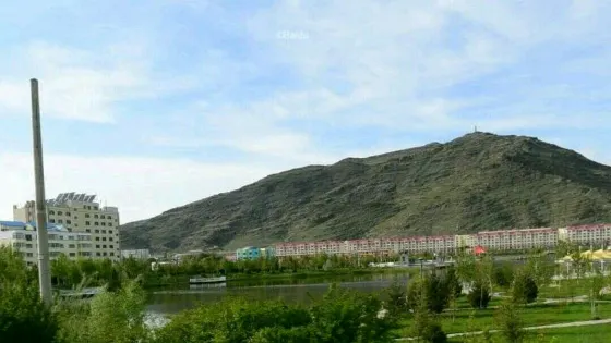青河樺林公園