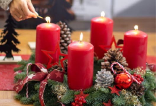 Blumen Risse Blumenmarkt Germersheim购物图片