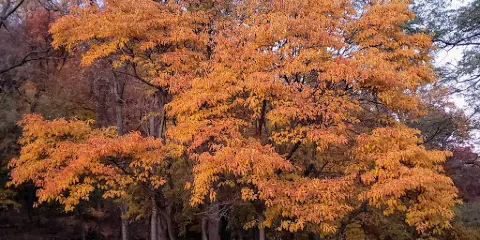 Nyack Beach State Park
